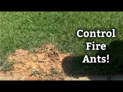 how to control fire