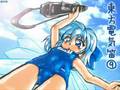 Touhou Electric Flute Compilation 8~13 Part 1 / 【総集編2】東方電気笛8~13【エコノミー回避】 #1