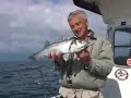 Fishing Dartmouth - Bass sea angling aboard \"Amaretto\"