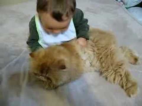 Baby - Cat Love Attack