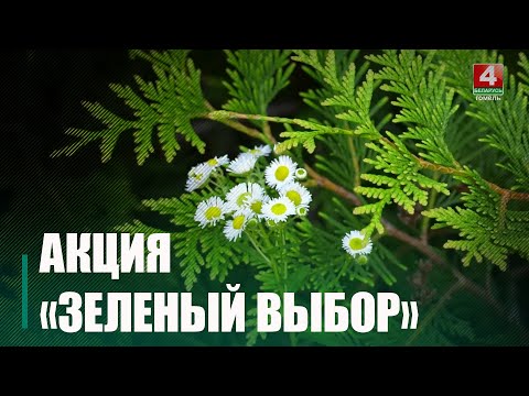 В Беларуси пропагандируют отказ от использования пластика видео