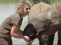 Working with Elephants.Wildlife photographer Yvonne v/d/Mey