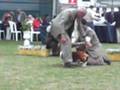 Kataklo Sir Galahad Sicalam 2008