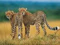 Beautiful South Africa