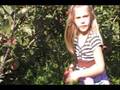 Picking Apples at Behling Orchards