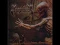 Argentum - The Gardens Of The Unsane Renovation