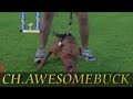 APBT DAMIAN THE MAYDAY/BUCK DOG