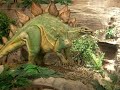 t-rex vs. stego live