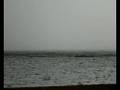 Cuban Storm