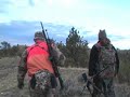 Another Great Buck