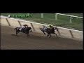 1996 Ruffian Handicap - Yank's Music