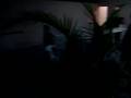videos de Tackle del fly navojoa