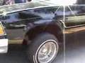 LOWRIDER-ELYSIAN-PAR