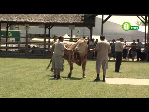 Agroinform besz�mol� a XIX. Alf�ldi �llatteny�szt�si �s Mez�gazda Napokr�l 