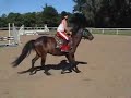 Hunter pony for sale MINIMI Y LULI first galloping jump