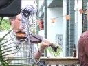 high lonesome bluegrass band: stefan custodi-guitar, alan fisher-banjo, chris boutwell-mandolin, ashley carder-fiddle & ben boatwright on bass. columbia,. sc.