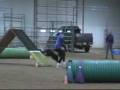 videos de Baby V-NATCH3