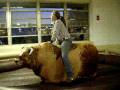 Crystal riding the mechanical bull in Asheville..lol