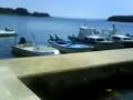 valking by sea Punat 2 valking by sea Punat 2