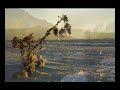 The third movement of the Symphony No.3 by Brahms, in a recording by the Berlin Philharmonic under the legendary conductor Wilhelm Furtwangler.This movement contains one of Brahms's most delectable melodies, tender, wistful, rich in poignancy. I have tried to select photos that will fit well with the overall mood of the piece. I hope you enjoy it.The recording is a live one, so there is some (very minor) audience noise. It's hardly distracting. If you have any comments or suggestions please contact me...