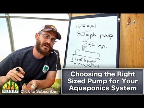 The latest aquaponic and hydroponic tips, videos, plans ...