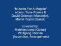 videos de Musette For A Magpie (guitar, accordion, bass)