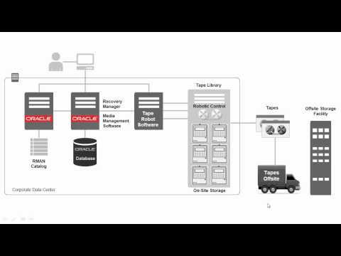 how to know rman catalog version