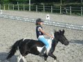 Dressage Shet Dressage Shet