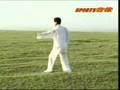 Xing Yi Chuan Twelve Pounding Fists形意拳十二洪捶