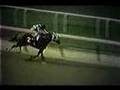 SECRETARIAT - 1973 Belmont Stakes (Alternate Footage)