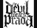 dogs can grow beards all over, voal cover