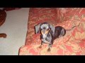 videos de Winnie