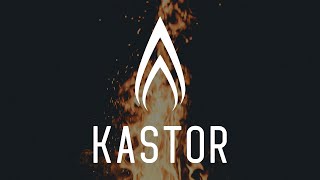 Дровяные печи Kastor