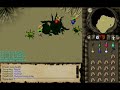 Runescape Kalphite Queen D2h Drop