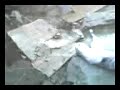 YouTubeサムネイル[1u5ZN6Naui0] - 1枚目