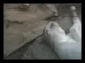 YouTubeサムネイル[1u5ZN6Naui0] - 2枚目