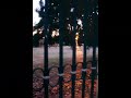 Fotos de Jos� Sousa