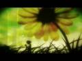 videos de Untitled Experiment