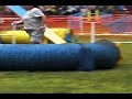 Nikon's ADCH Run, 08/30/2008