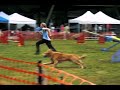 Nikon's ADCH Run, 08/30/2008