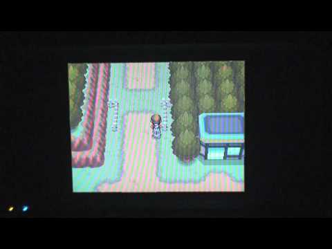 how to get more eevees in heart gold