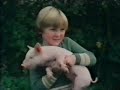 five-go-to-billycock-hill-part-1.html