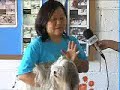 PROGRAMA PET E CIA - REPORTAGEM SOBRE AGILITY PARA CÃES PROGRAMA PET E CIA - REPORTAGEM SOBRE AGILITY PARA CÃES