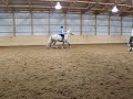 Jumping a small course