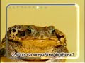 As� son sus compa�eros de oficina?
