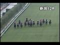 videos de [パトロールビデオ] 080907 3新潟8 12R