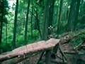 Kris Holm Freeride video