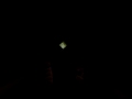 $urf Trailer: efT.!MM0RT4L