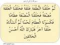 هندسة جسم الانسان هندسة جسم الانسان