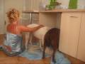 GOOD MORNING GUYS     MY DOGGIES AND I IN THE KITCHEN 11-JAN-09